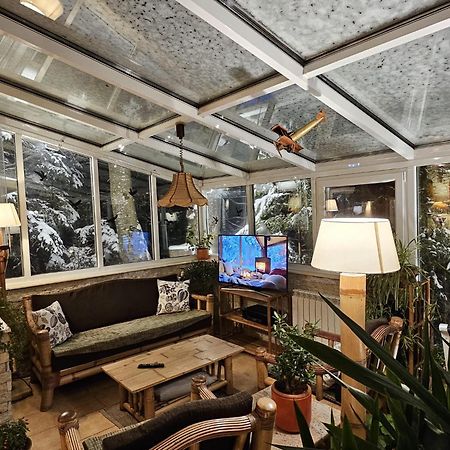 Boutique Hotel Forest Retreat (Adults Only) Buşteni Εξωτερικό φωτογραφία