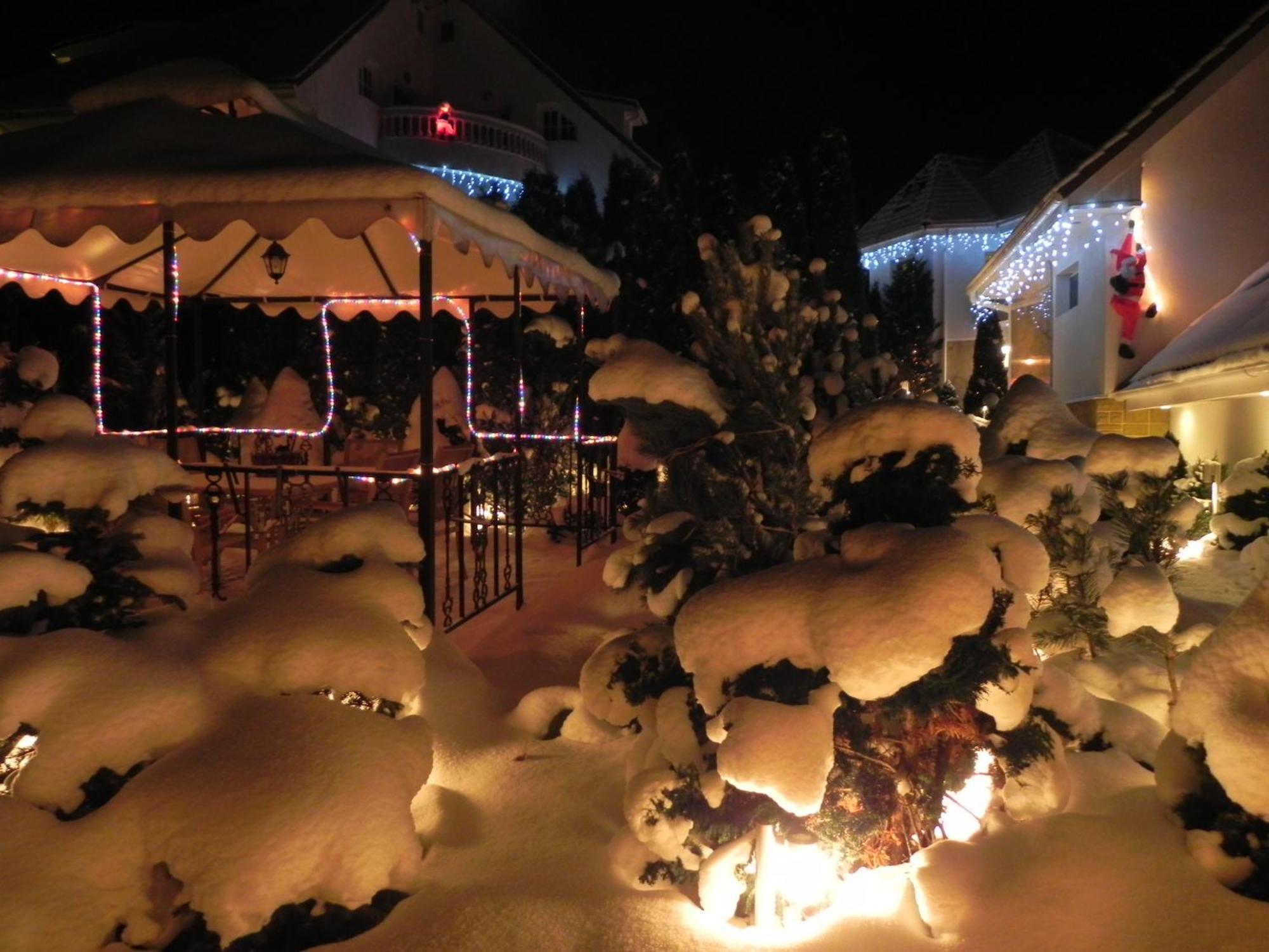 Boutique Hotel Forest Retreat (Adults Only) Buşteni Εξωτερικό φωτογραφία