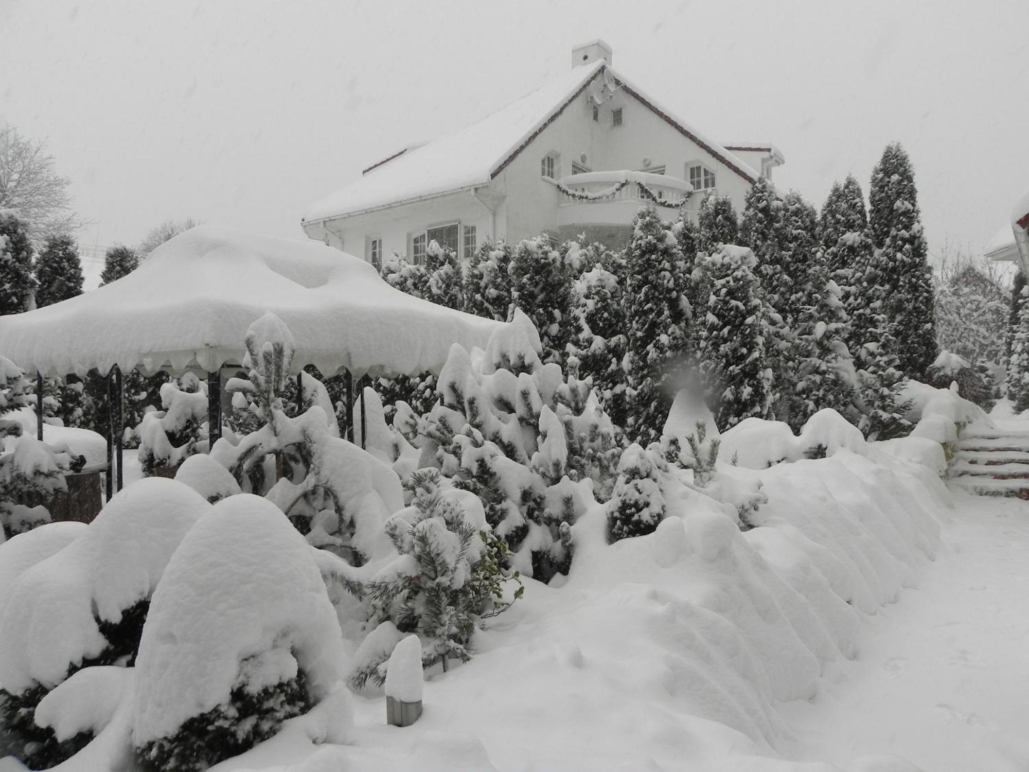 Boutique Hotel Forest Retreat (Adults Only) Buşteni Εξωτερικό φωτογραφία