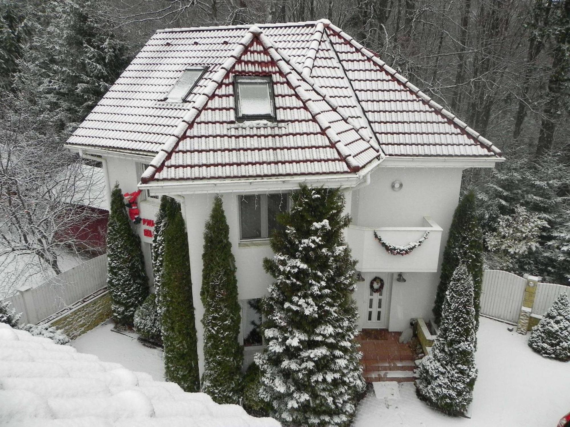 Boutique Hotel Forest Retreat (Adults Only) Buşteni Εξωτερικό φωτογραφία