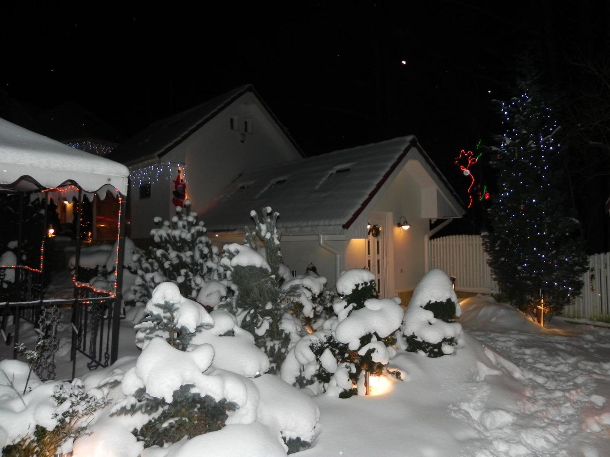 Boutique Hotel Forest Retreat (Adults Only) Buşteni Εξωτερικό φωτογραφία