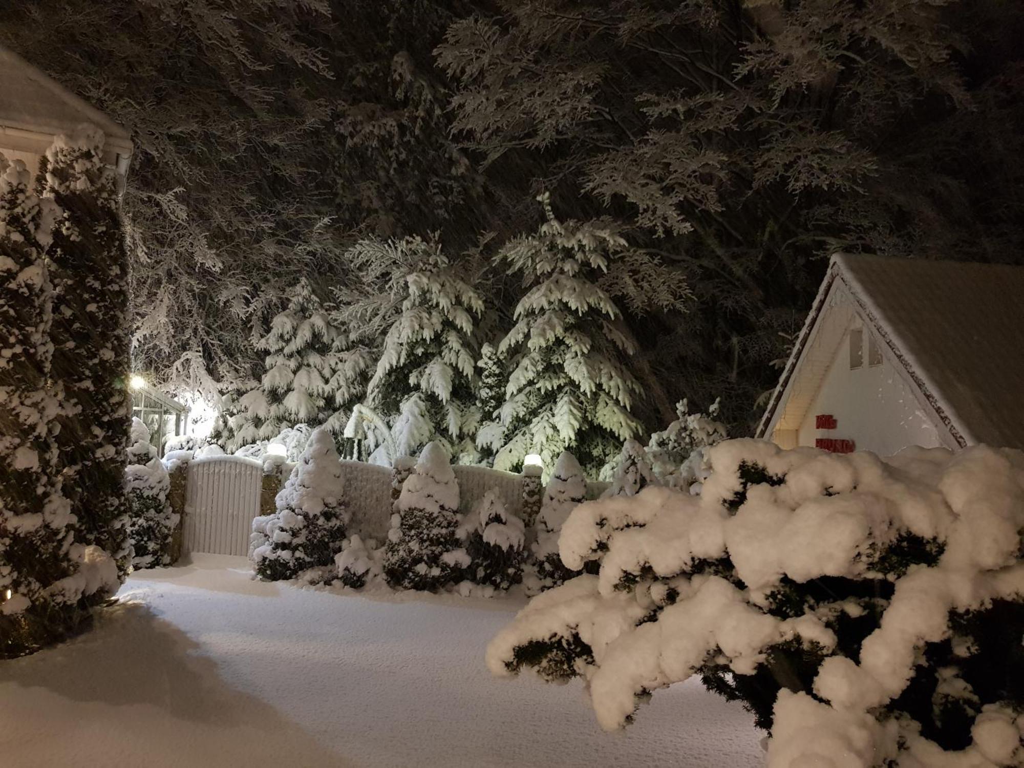 Boutique Hotel Forest Retreat (Adults Only) Buşteni Εξωτερικό φωτογραφία