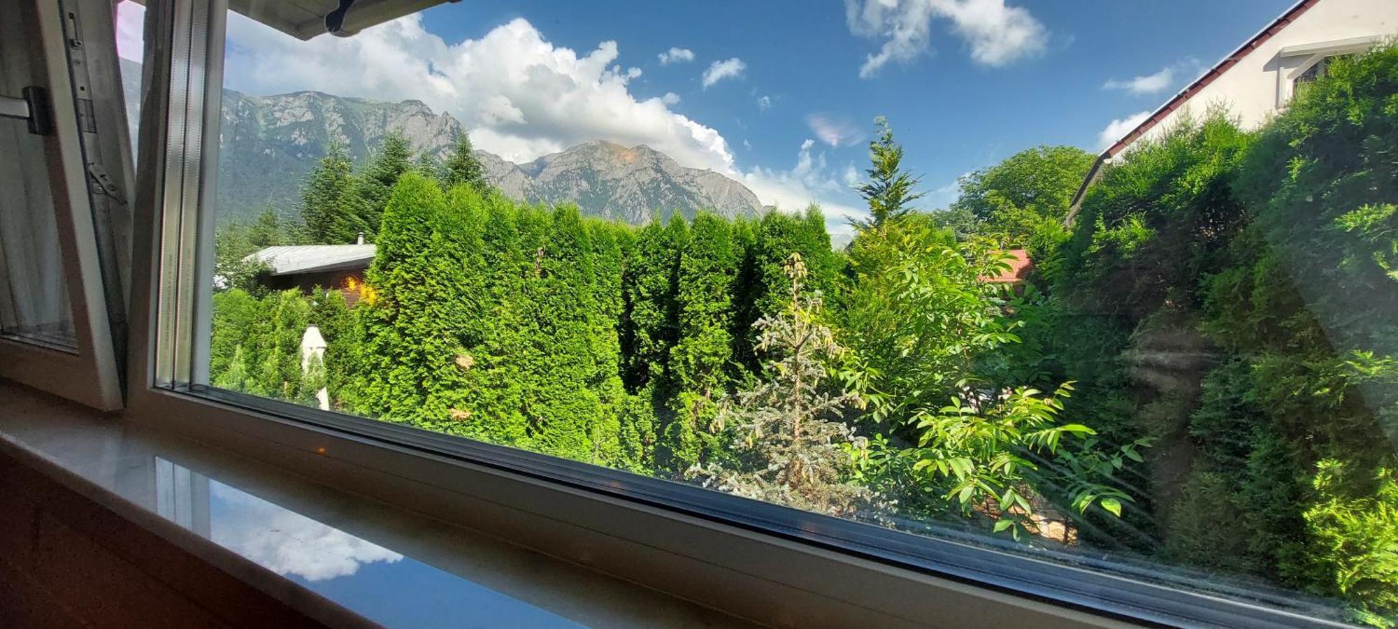 Boutique Hotel Forest Retreat (Adults Only) Buşteni Εξωτερικό φωτογραφία