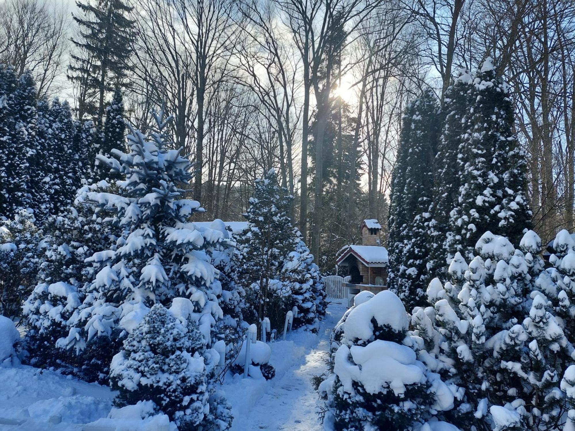 Boutique Hotel Forest Retreat (Adults Only) Buşteni Εξωτερικό φωτογραφία