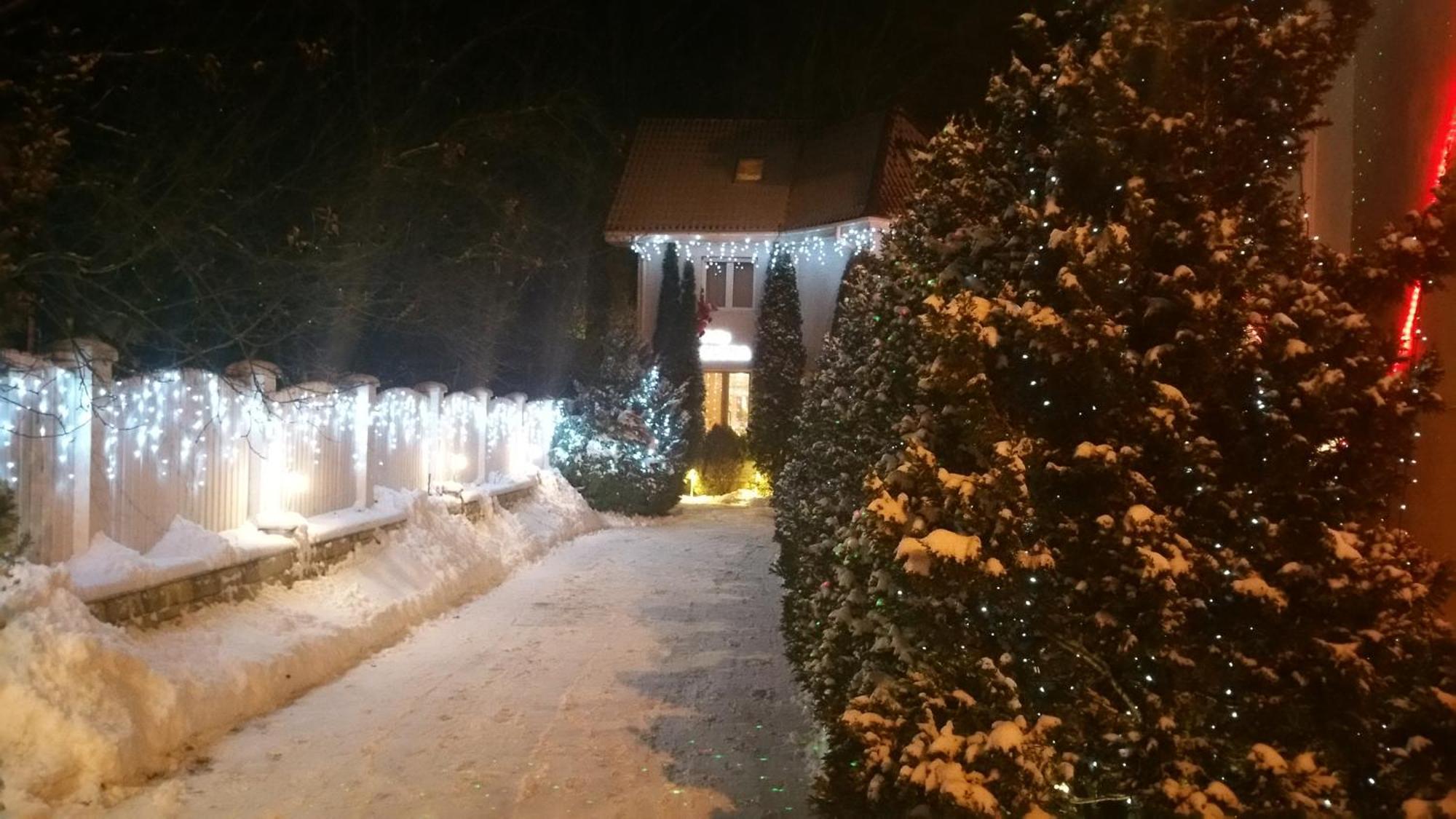 Boutique Hotel Forest Retreat (Adults Only) Buşteni Εξωτερικό φωτογραφία