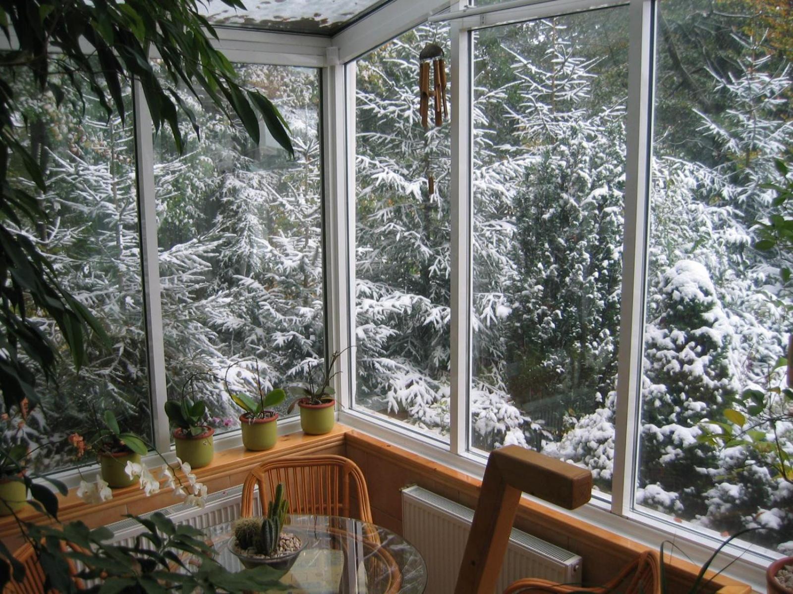 Boutique Hotel Forest Retreat (Adults Only) Buşteni Εξωτερικό φωτογραφία