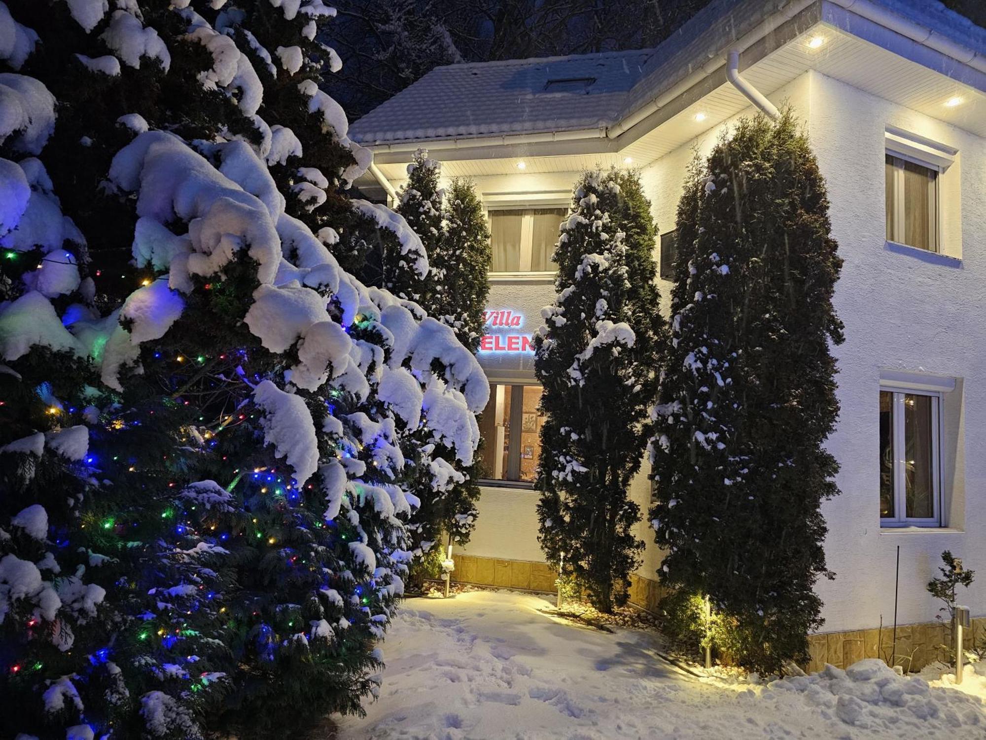 Boutique Hotel Forest Retreat (Adults Only) Buşteni Εξωτερικό φωτογραφία