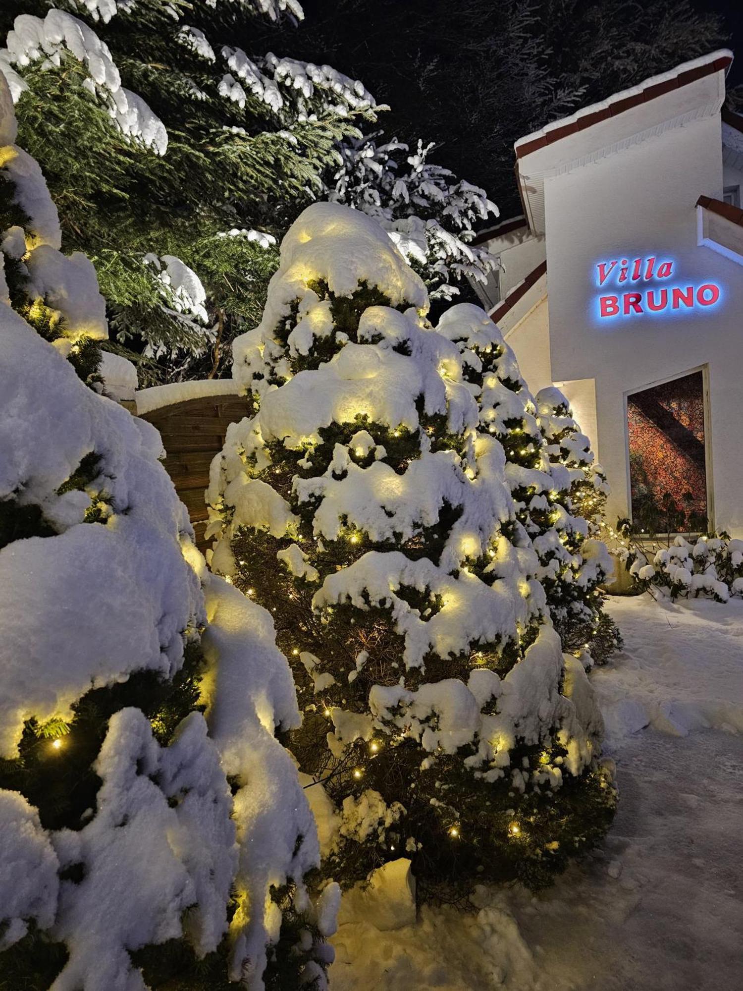 Boutique Hotel Forest Retreat (Adults Only) Buşteni Εξωτερικό φωτογραφία