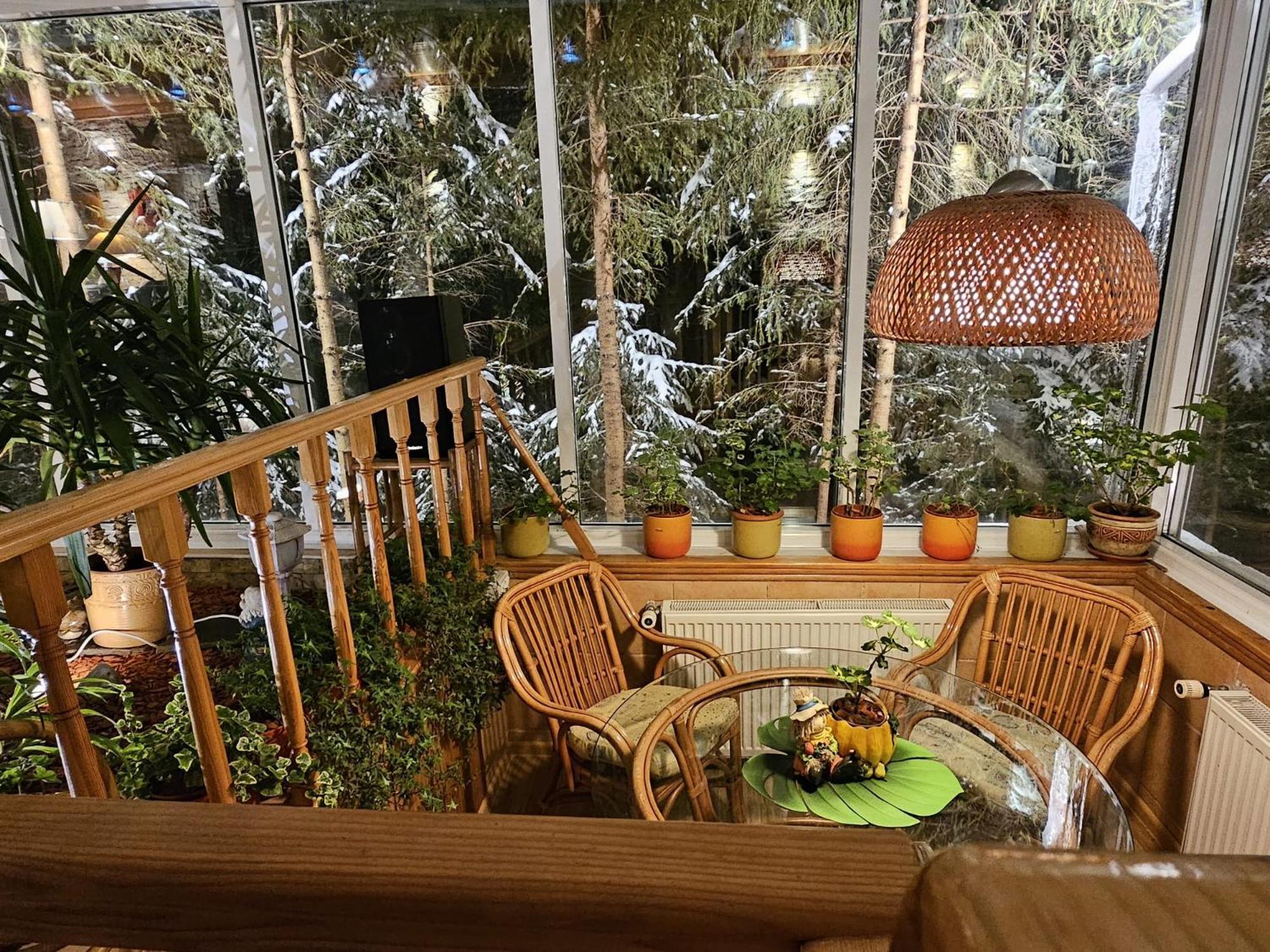 Boutique Hotel Forest Retreat (Adults Only) Buşteni Εξωτερικό φωτογραφία