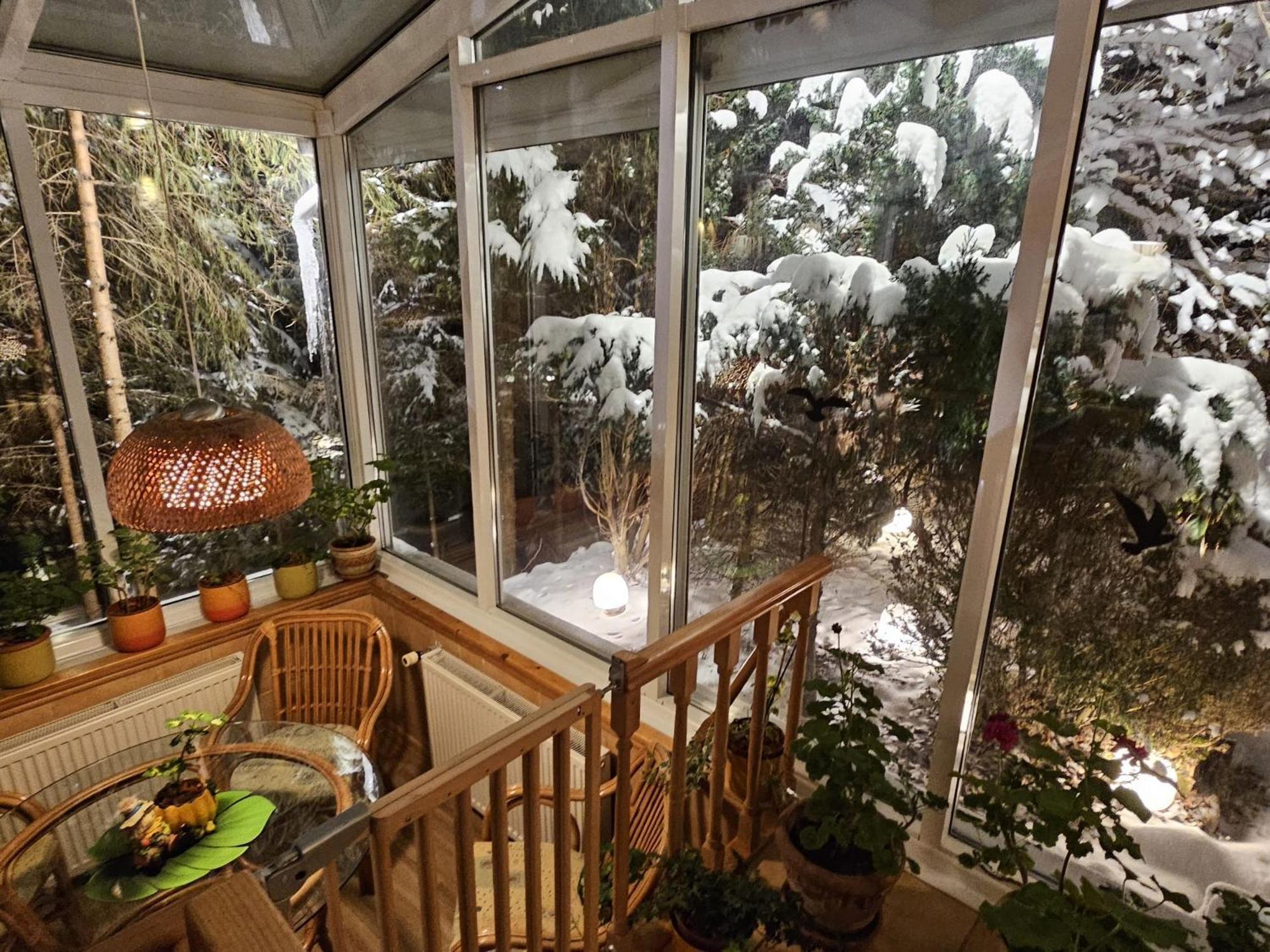 Boutique Hotel Forest Retreat (Adults Only) Buşteni Εξωτερικό φωτογραφία